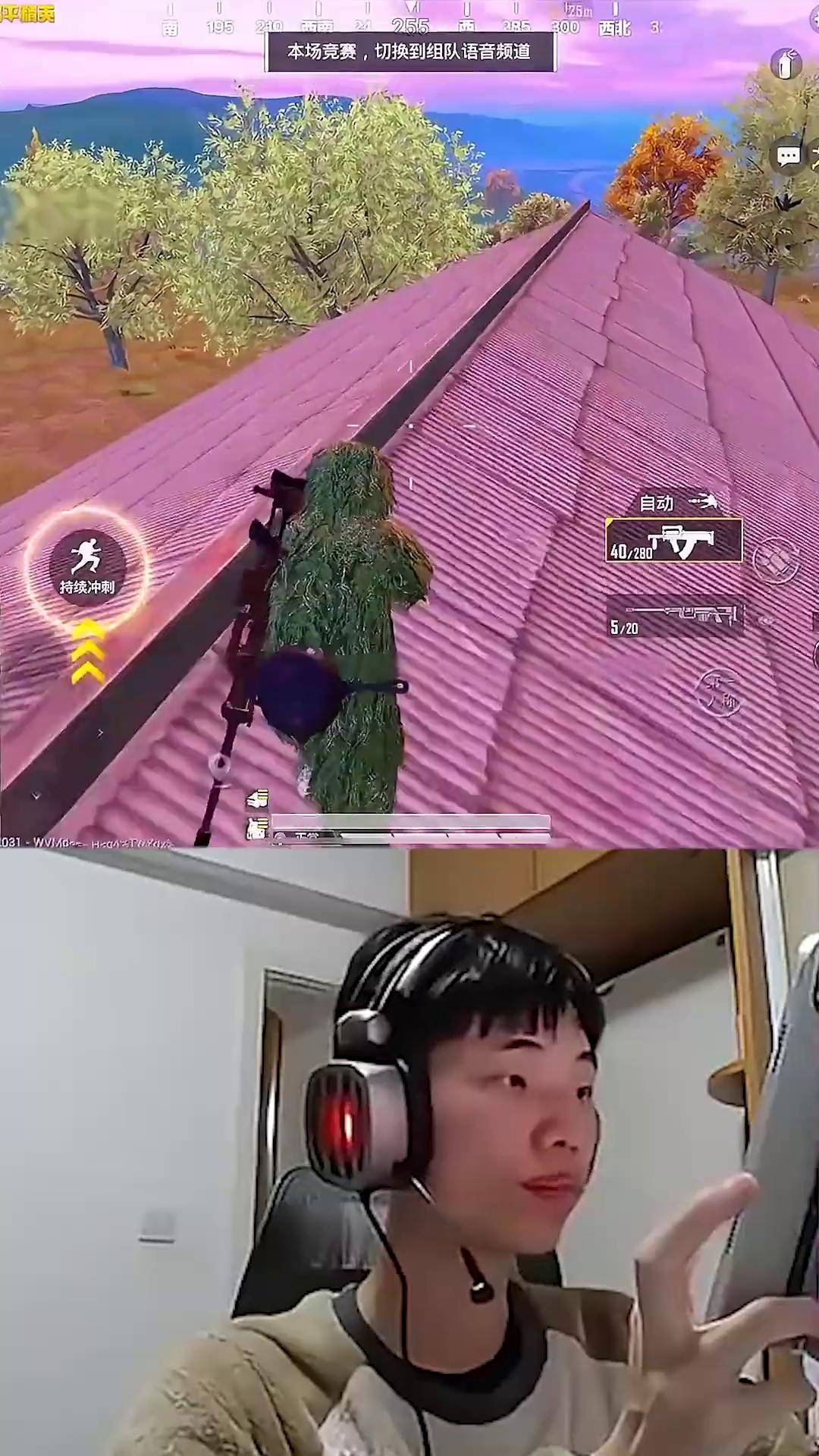 包含电竞精英训练营开启，培养未来明星的词条