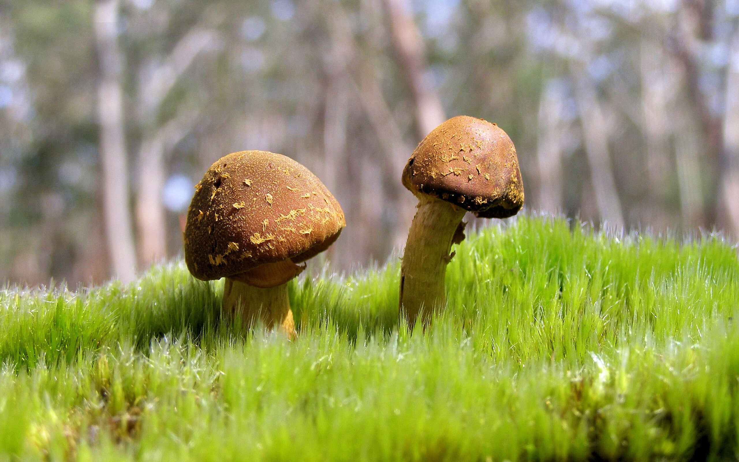 社区足球活动丰富多彩，推动全民健身行动，足球进社区活动策划书