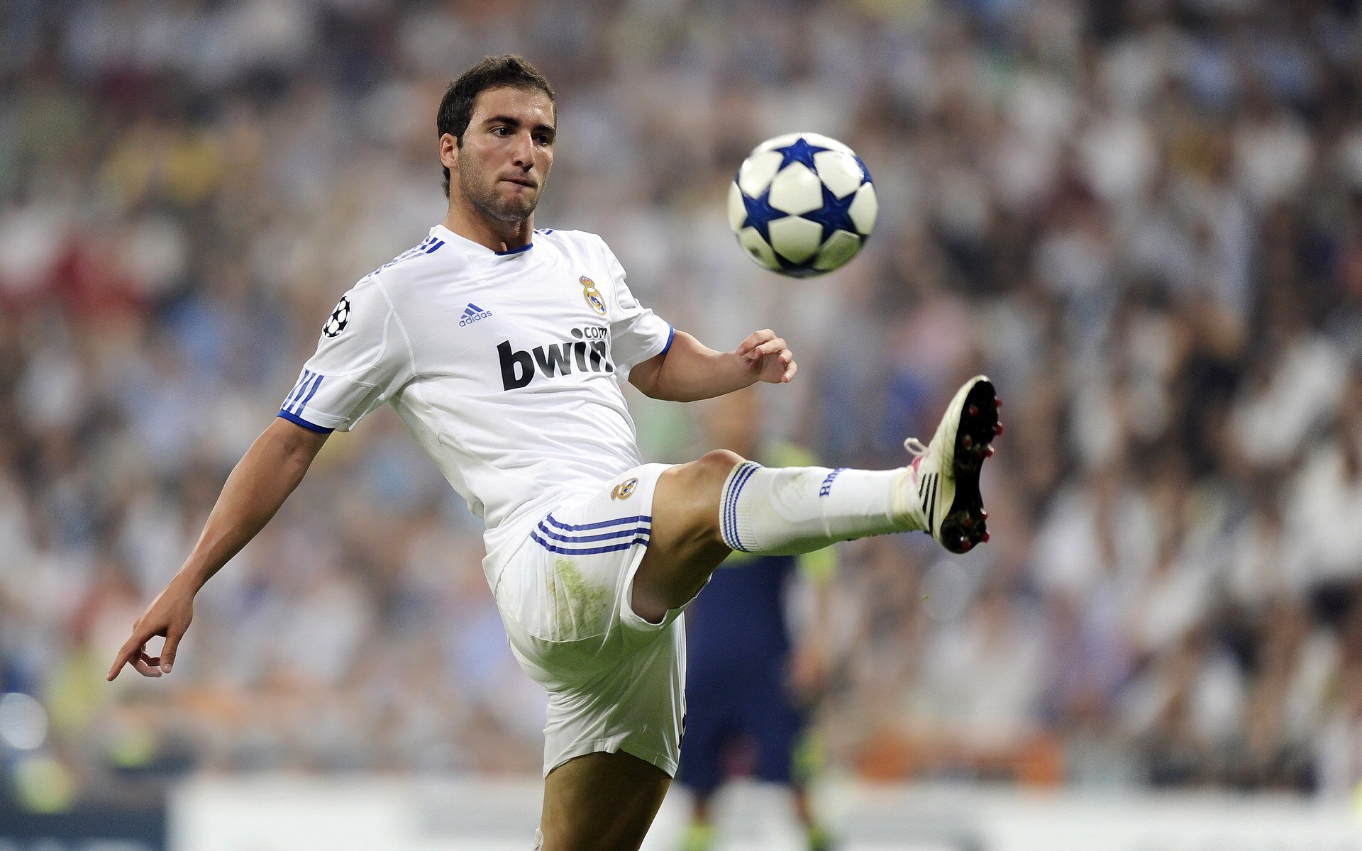 星空体育平台安全-未来“欧洲霸主”潜力股：谁能笑到最后？，欧州的未来